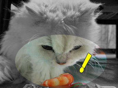 ¿©Éʵ¶Áõ¤Îµ¿¤¤¤¬¡¦¡¦¡¦¨