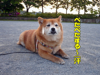 Áð¤ÎÃæ¤òÊ⤯¤È¡¦¡¦¡¦±