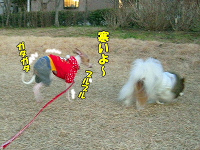 ���ߤλ���ƻ����������