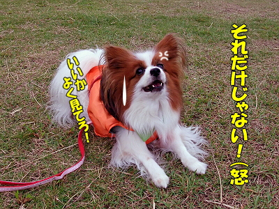 ��ǯ�⡦������