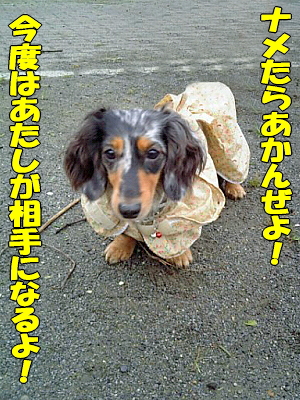 ¤¢¤¿¤·¤¬Áê¼ê¤Ë¤Ê¤ë¤è¡ª
