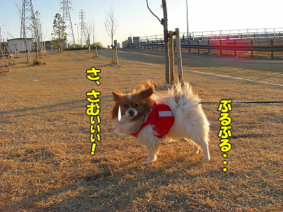 ¤á¤Ã¤Á¤ãËÌÉ÷orz¤