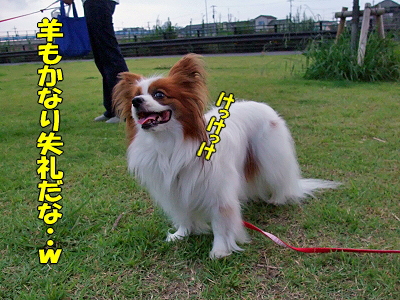 ½ë¤µ¤Ç¥Ü¥±¥Ü¥±¡¦¡¦¡¦¡¦¯