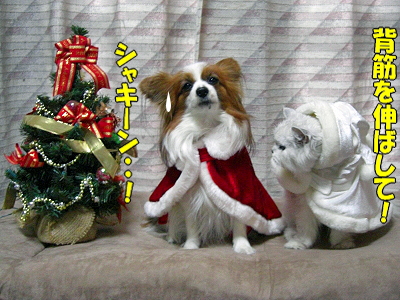 ¡ù¡ú¡ùMerry Christmas¡ù¡ú¡ù¥