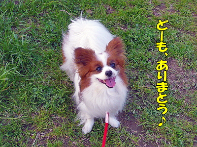 �����¿��������orz��
