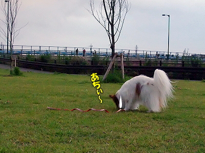 ½ë¤µ¤Ç¥Ü¥±¥Ü¥±¡¦¡¦¡¦¡¦¢
