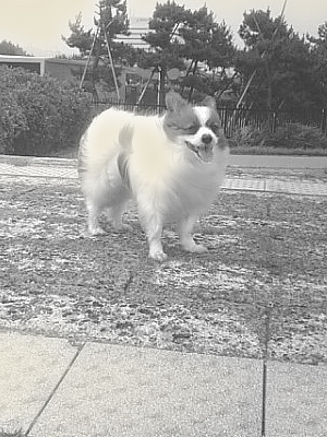20060630