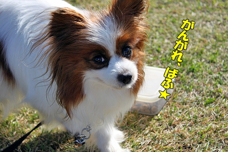 ��ĥ�졢�Фբ��ʸ��ӡ˭�