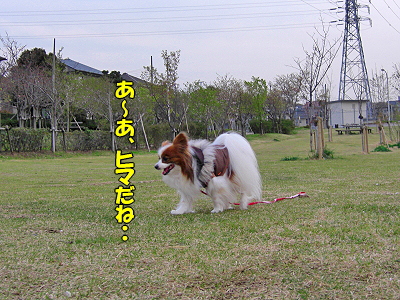 ��ͧ���롪��