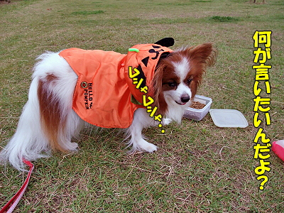 �����ӡ���UFO��