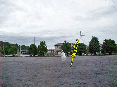 µ¤Ê¬²°¡¦¡¦¡¦¡¦¥