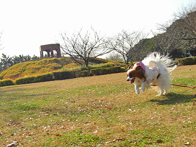 ǯ±Û¤·¡¦¡¦¤«¡Ê´À§