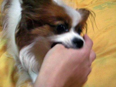 ���ޤ󤹤ޤ�