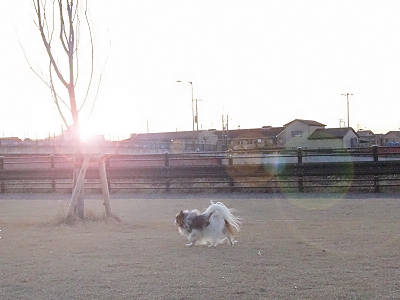 I AM LEGEND����������