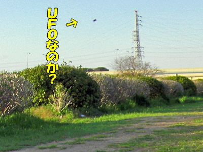 ̤³ÎǧÈô¹ÔʪÂΡ¦¡¦¡¦¡©¨