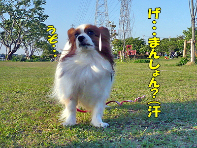 º¤¤Ã¤¿¤â¤ó¤À¡¦¡¦¡¦¡¦¨