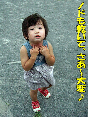 ���ƤΥ롼������
