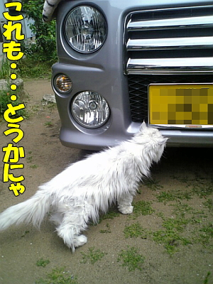¤É¤¦¤«¤Ë¤ã¡£¡£