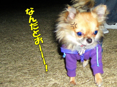 Åß»ê¤Î˺ǯ²ñ¥