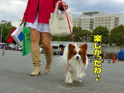 ¥¢¥¸¥¢¥¤¥ó¥¿¡¼2008¡Ê¸åÊӡ˨