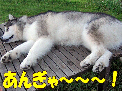 °ì»þÈòÆñ¡¦¡¦ª