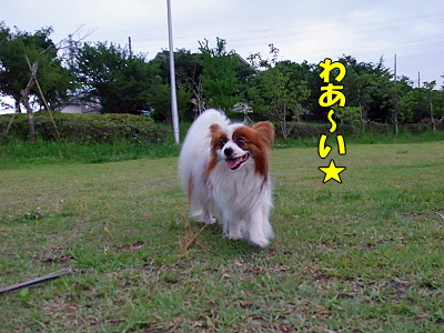 ½ë¤µ¤Ç¥Ü¥±¥Ü¥±¡¦¡¦¡¦¡¦¥