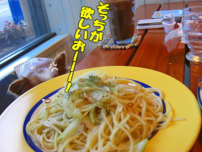 �ޥ���������ե���