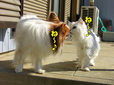 À㸶¤Ï²¿½è¤Ø¡©¨