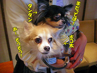 ¥ª¥Õ²ñ¤Ë¹Ô¤Ã¤Æ¤¤¿¤è¡ª¨