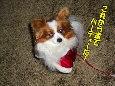 ÌÂÏǤʥµ¥ó¥¿¡¦¡¦¡¦«