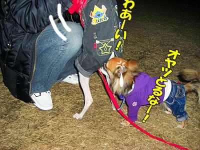 Åß»ê¤Î˺ǯ²ñ