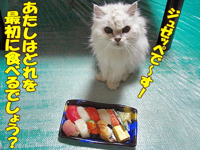 �����ʭ�