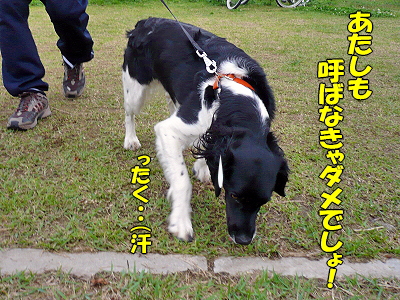 ��󥳤����ʸ��ԡ˭�