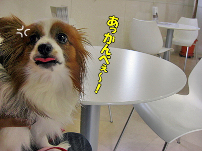 ¥»¥«¥ó¥É¥ª¥Ô¥Ë¥ª¥óª