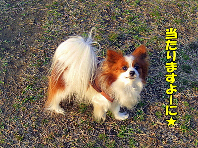 ¡ú¡Ö¤½¤Î¥µ¥¶¡×500²óµÇ°SPÃêÁªÊýË¡¡ú¤