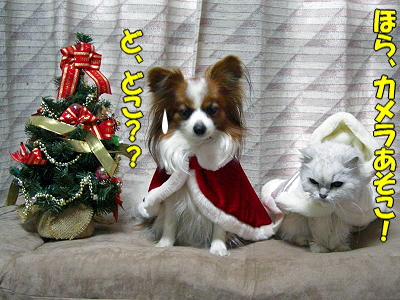 ¡ù¡ú¡ùMerry Christmas¡ù¡ú¡ù¤