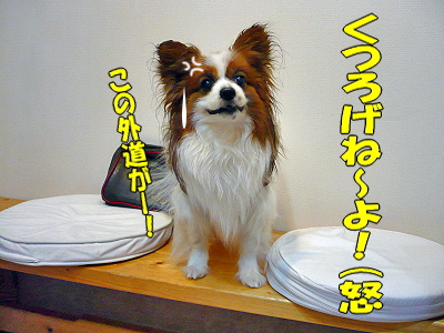 ¤¯¤Ä¤í¤²¤ë¾ì½ê¡¦¡¦¡¦¥