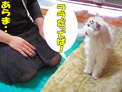 ¥¹¥¿¥ó¥×ºî¤ê£