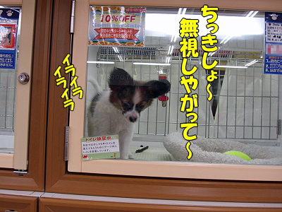 �쿨¨ȯ��������