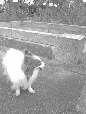 20070319