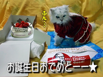 Happy Birthday HERMES��2008��