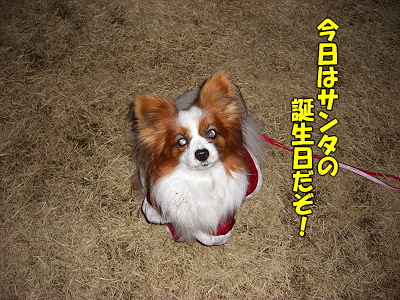ÌÂÏǤʥµ¥ó¥¿¡¦¡¦¡¦ª