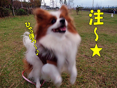 ���奦����������