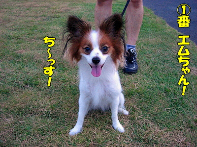 �����¿��������orz��
