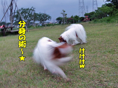 ¤¯¥Î°ì¡ú»²¾å¥