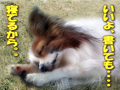Ê̤˿²¤Æ¤ë¤«¤é¤¤¤¤¤è¡£¡£