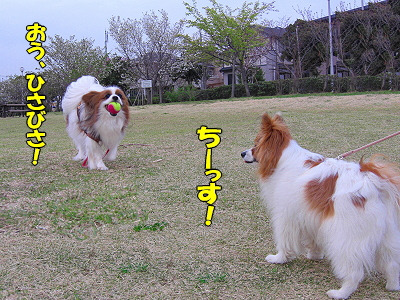 ��ͧ���롪��