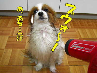 ¥µ¥¶¥Ó¡¼¤ÎÉʳʤ