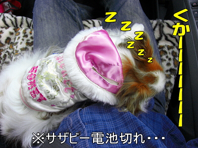 ¥¢¥¸¥¢¥¤¥ó¥¿¡¼2008¡Ê¸åÊӡ˪