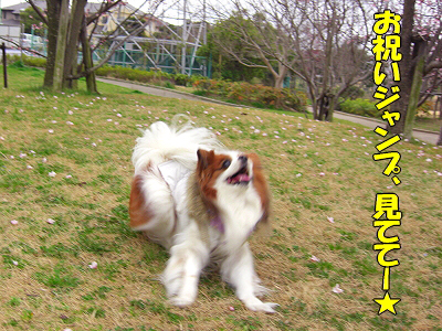 ºù¤ÎÌڤβ¼¤Ç©